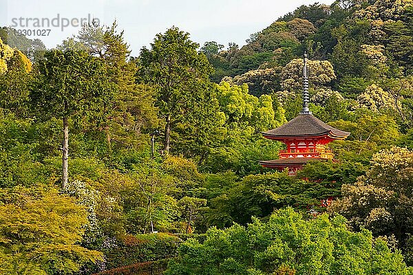 Der kultige Kiyomizu dera Tempel und die Aussicht auf die Berge an einem sonnigen Frühlingstag in Kyoto  Japan  Asien