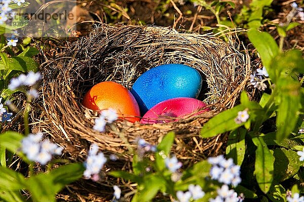 Osternest im Garten  Ostereier in einem Nest in einem Garten