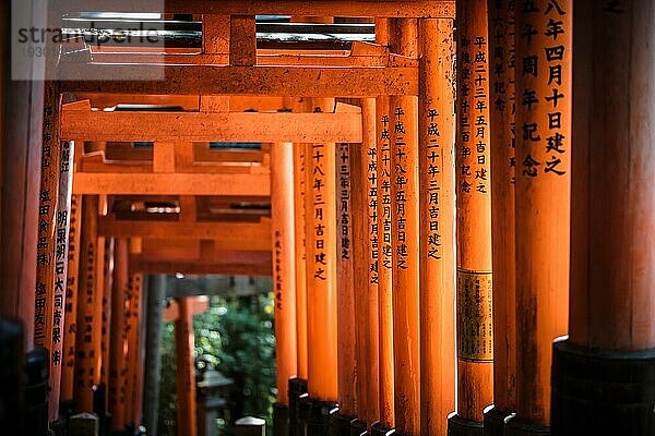 Rotes Tori Tor am Fushimi Inari Schrein in Kyoto  Japan. Eine der größten Touristenattraktionen Japans