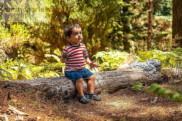 Porträt eines Jungen  der auf einem Baum in der Natur neben Pinienbäumen sitzt  Madeira. Portugal