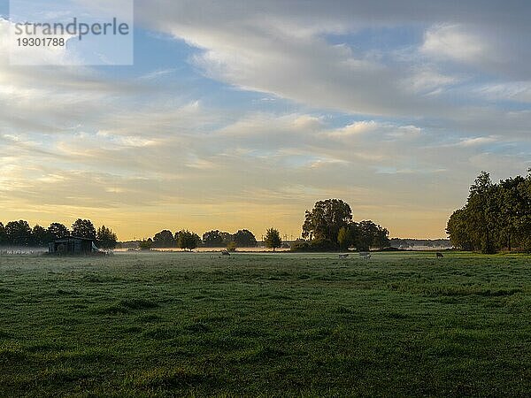 Morgennebel über den Wiesen und und Auen  leuchtende Farben  Schlepzig  Spreewald  Brandenburg  Deutschland  Europa
