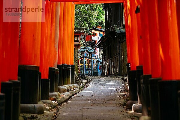 Rotes Tori Tor am Fushimi Inari Schrein in Kyoto  Japan. Eine der größten Touristenattraktionen Japans