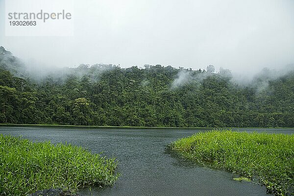 Schöner Fluss tropischer Regenwald costa rica