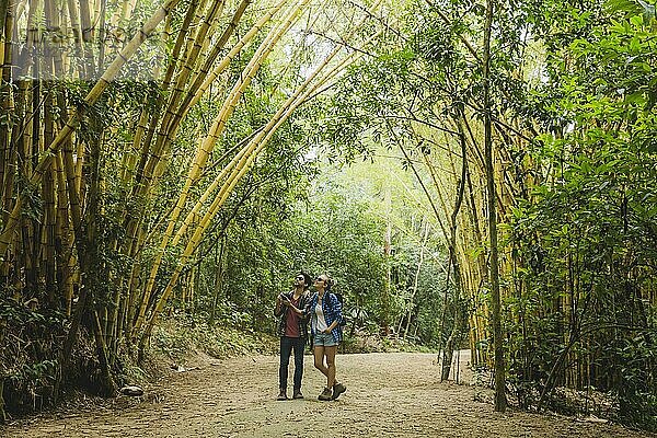Paar Pfad Bambuswald
