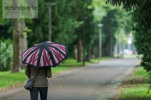 Eine unerkennbare Person mit Regenschirm zu Fuß durch regnerische Straße in schönen alten Allee mit Bäumen auf regnerischen Tag