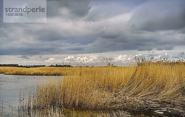 Das kleine Fischerdorf Vieregge gehört zur Gemeinde Neuenkirchen und liegt im landschaftlich reizvollen zentralen Nordwesten der Insel Rügen