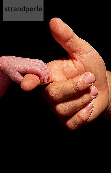 Händchenhalten des Babys durch einen Erwachsenen