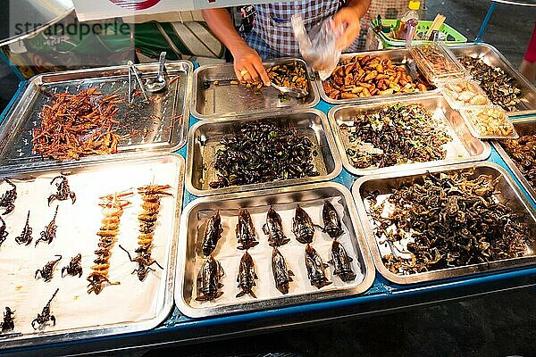 Eine Auswahl an Insekten  die in der Khao San Road in Bangkok  Thailand  zum Verzehr angeboten werden  Asien