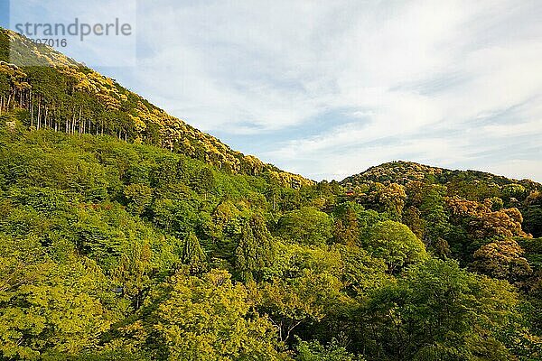 Der kultige Kiyomizu dera Tempel und die Aussicht auf die Berge an einem sonnigen Frühlingstag in Kyoto  Japan  Asien