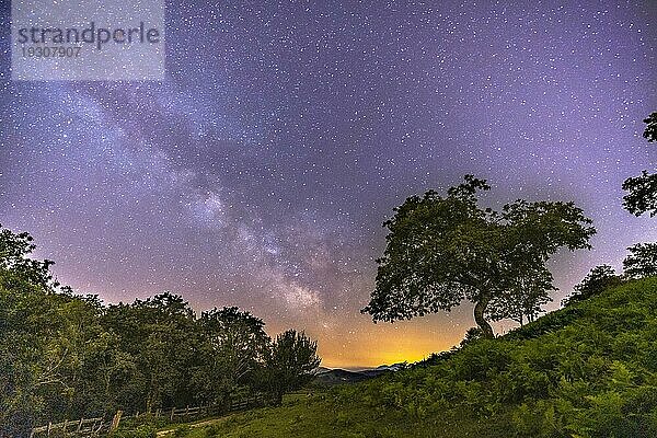 Ein schöner Baum unter der wunderschönen Milchstraße auf dem Berg Erlaitz in der Stadt Irún  Guipuzcoa. Baskenland. Nachtfotografie im Juni  Lightpainting