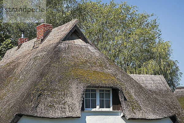 Middelhagen ist ein Ortsteil der Gemeinde Mönchgut im Landkreis Vorpommern Rügen auf der Insel Rügen in Mecklenburg-Vorpommern