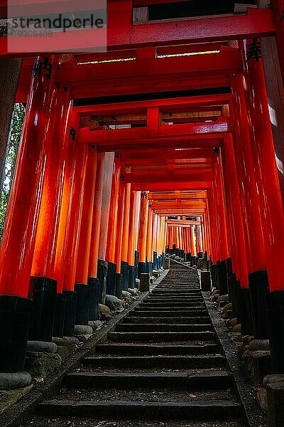 Rotes Tori Tor am Fushimi Inari Schrein in Kyoto  Japan. Eine der größten Touristenattraktionen Japans