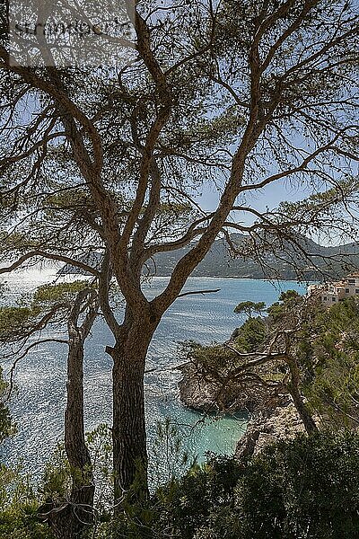 Landschaft an der Ostküste  Mallorca  Balearen  Spanien  Europa