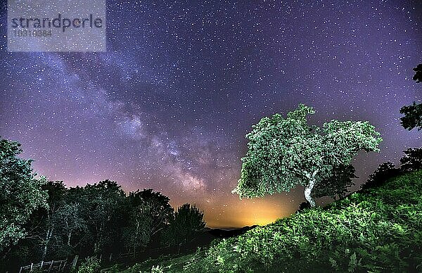 Ein schöner Baum unter der wunderschönen Milchstraße auf dem Berg Erlaitz in der Stadt Irún  Guipuzcoa. Baskenland. Nachtfotografie im Juni  Lightpainting