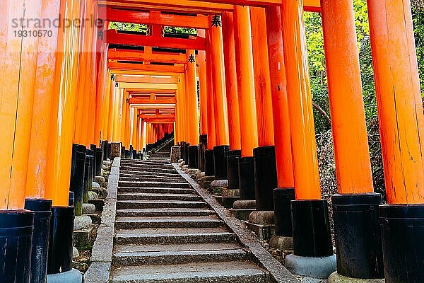 Rotes Tori Tor am Fushimi Inari Schrein in Kyoto  Japan. Eine der größten Touristenattraktionen Japans