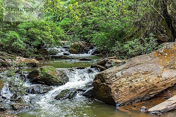 Fluss mit Baumstämmen und Steinen inmitten der Waldvegetation in Minas Gerais  Brasilien  Südamerika