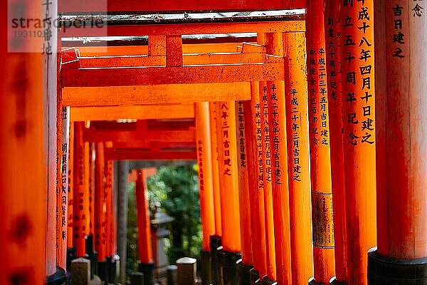 Rotes Tori Tor am Fushimi Inari Schrein in Kyoto  Japan. Eine der größten Touristenattraktionen Japans