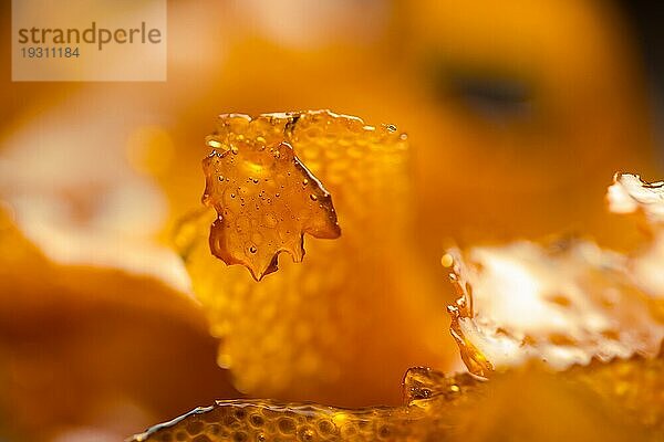 Detail der karamellisierten Schale einer geschälten Orange zum Garnieren von Süßspeisen wie Keksen oder Cremes