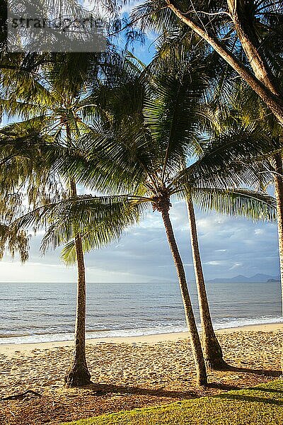Die berühmte idyllische Strandpromenade von Palm Cove bei Sonnenaufgang in Queensland  Australien  Ozeanien