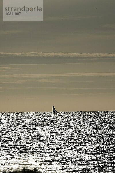 Segelboot am Horizont bei im Gegenlicht funkelnden und glitzernden Meer am Ärmelkanal kurz vor Sonnenuntergang  Portbail  Cotentin  Manche  Normandie  Frankreich  Europa