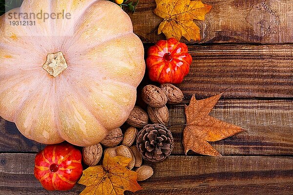 Big Kürbis und Nüsse auf hölzernen Hintergrund  Herbst Ernte