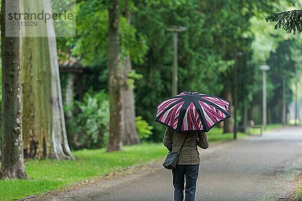 Eine unerkennbare Person mit Regenschirm zu Fuß durch regnerische Straße in schönen alten Allee mit Bäumen auf regnerischen Tag