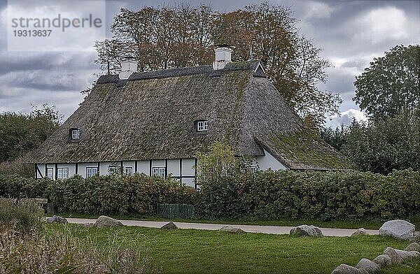 Die Schlei ist ein Meeresarm der Ostsee in Schleswig-Holstein