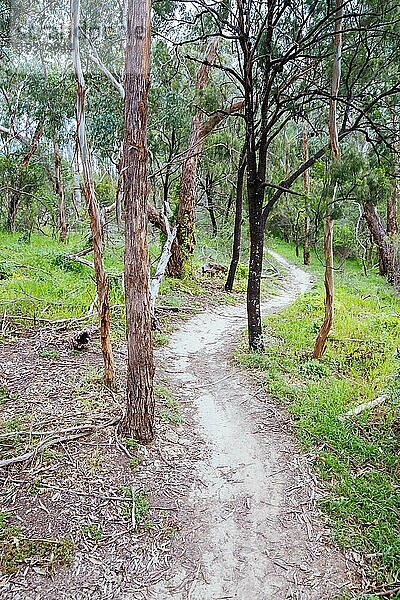 Mountainbike und Wanderwege im Plenty Gorge State Park im Norden von Melbourne in Victoria  Australien  Ozeanien