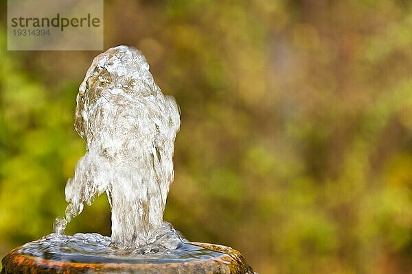 Sprudelndes Wasser  bubbling water