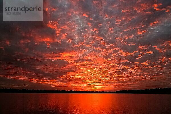 Beeindruckender Sonnenaufgang mit Wolken über dem Rio Negro  Anavilhanas Archipel  Brasilien  Südamerika