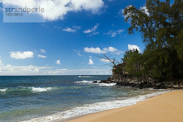 Strand bei Kapalua im Norden von Maui  Hawaii  USA  Nordamerika