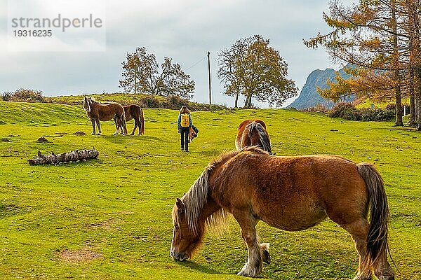 Eine junge Frau im Erlaitzgebirge mit Pferden in Freiheit in der Stadt Irun  Gipuzkoa. Baskenland