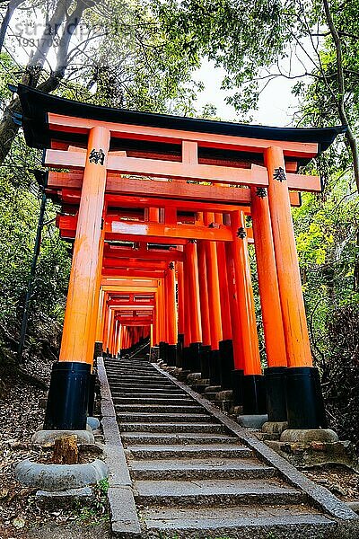 Rotes Tori Tor am Fushimi Inari Schrein in Kyoto  Japan. Eine der größten Touristenattraktionen Japans