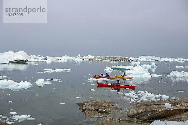 Ilulissat  Grönland  1. Juli 2018: Eine Gruppe von Menschen fährt mit dem Kajak zwischen Eisbergen im Ilulissat Eisfjord. Der Ilulissat Eisfjord wurde 2004 zum UNESCO Welterbe erklärt  Nordamerika