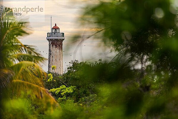 Der alte Leuchtturm von Puducherry  Südindien  gesehen durch eine Gruppe von Bäumen mit vorbeifliegenden Vögeln