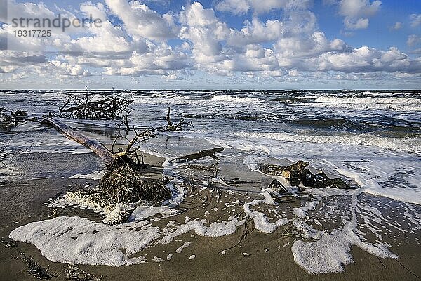 Der Darßer Weststrand befindet sich an der Westküste der Halbinsel Fischland Darß Zingst und besteht aus einem 14 km langen Sandstrand. Aufgrund seiner Wildheit und Abgeschiedenheit wurde er mehrfach zu einem der schönsten Strände Deutschlands und Europas erklärt. Man spürt dort förmlich die Dynamik der Landabtragung und Landbildung durch die Ostsee