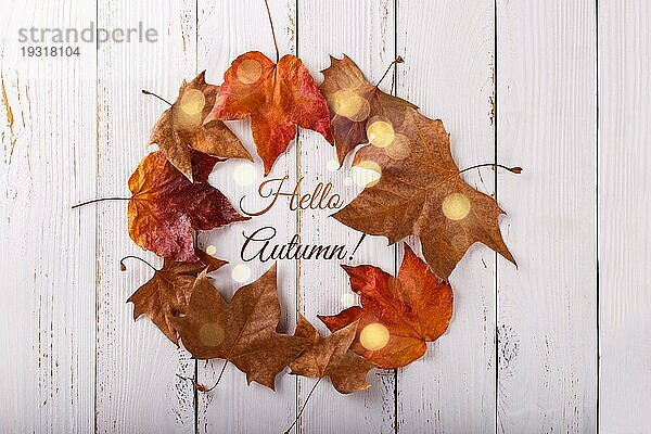 Kranz aus Herbstblättern auf weißem  rustikalem Holzhintergrund mit Hello autumn hand lettering calligrapy text  Draufsicht