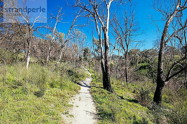 Mountainbikestrecken und Landschaft um die Plenty Gorge im Norden von Melbourne in Victoria  Australien  Ozeanien