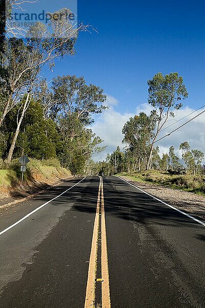 Einsame Landstraße im Norden von Big Island  Hawaii  USA  Nordamerika