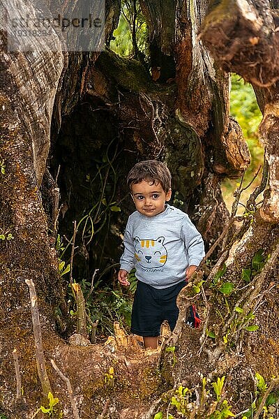 Fanal Wald in Madeira  Baby Porträt in der Höhle eines Lorbeerbaums  der Spaß hat