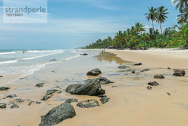 Erstaunlich grüne Natur am Strand Itacarezinho in Bahia