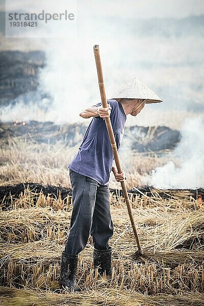 Ein vietnamesischer Baür verbrennt seine Ernte in der Nähe von Hoi An  Vietnam  Asien