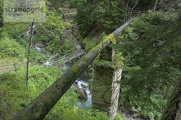 Wasserrohr führt über den Saldurbach  Schluderns  Südtirol  Italien  Europa