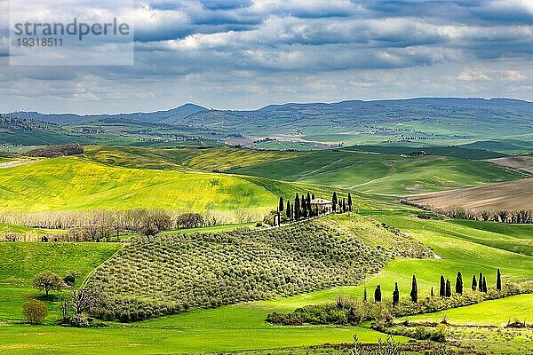 Haus mit Zypressen im Frühling im Val d Orcia in der Toskana  Italien  Europa