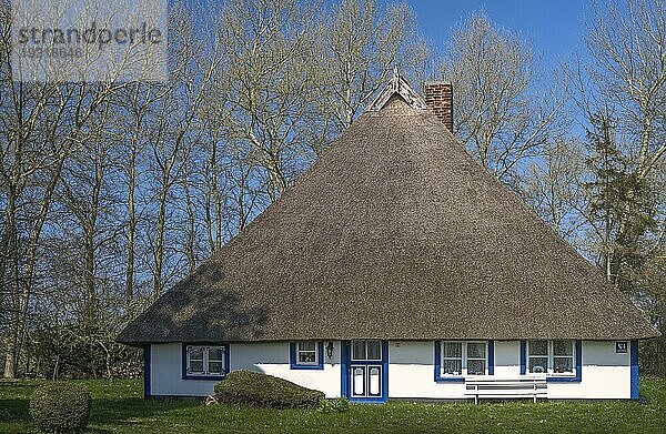 Haus auf der Insel Ummanz. Die Insel Ummanz  Rügen  die am Kubitzer und Schaproder Bodden liegt  ist mit 20 km² immerhin die viertgrößte Insel Mecklenburg-Vorpommerns. Die wunderschöne Natur mit ihrer einzigartigen Pflanzen- und Tierwelt wurde in den Nationalpark eingegliedert. Die Insel ist ein flaches und überschaubares Land  das sich kaum 3 m über den Meeresspiegel erhebt