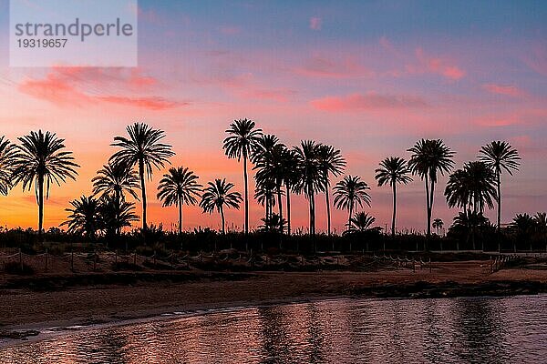 Silhouette von Palmen in einem orangefarbenen Sonnenuntergang an einem Strand am Meer in der Stadt Torrevieja  Cala Ferris reflektiert. Weiße Küste des Mittelmeers von Alicante. Spanien