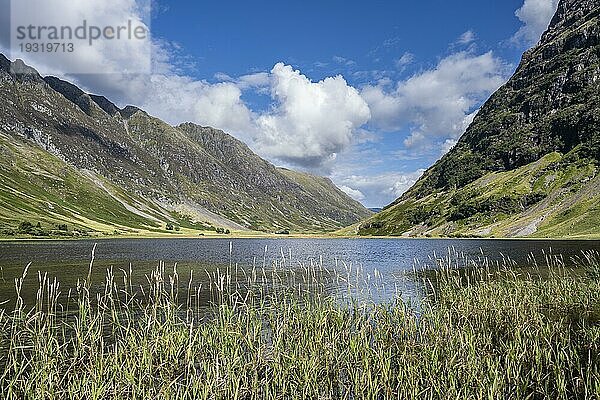 Blick über den Süßwassersee Loch Achtriochtan im Glen Coe  Highlands  Schottland  Großbritannien  Europa