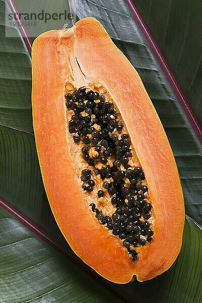 Draufsicht exotische Papayafrucht bereit zum Servieren
