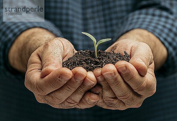 Vorderansicht männliche Hände halten Erde kleine Pflanze