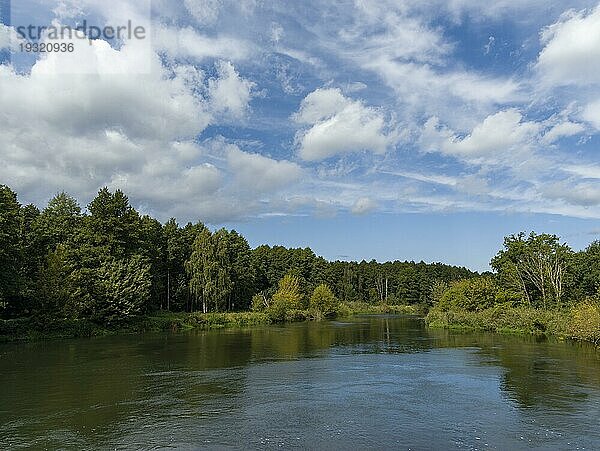 Die Spree  Fluss und Landschaft bei Lübben  Spreewald  Brandenburg  Deutschland  Europa